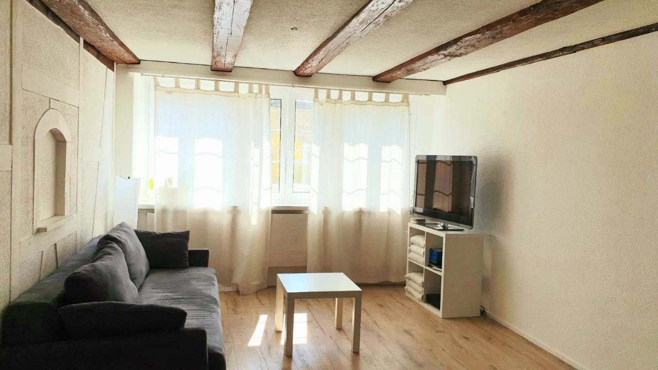 Cozy Apartment Close To Zurich Airport And City Oberglatt Екстер'єр фото