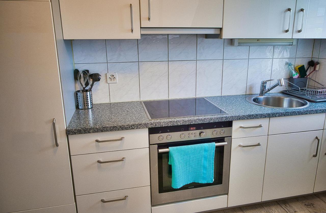 Cozy Apartment Close To Zurich Airport And City Oberglatt Екстер'єр фото