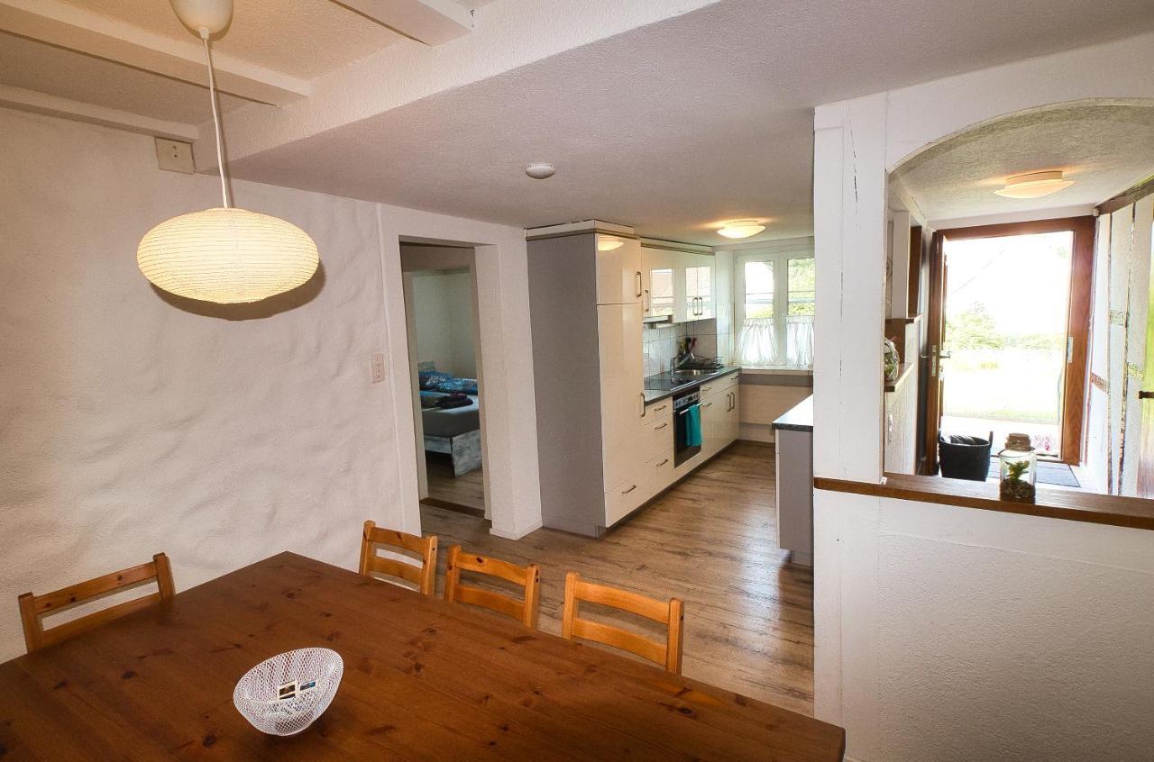 Cozy Apartment Close To Zurich Airport And City Oberglatt Екстер'єр фото