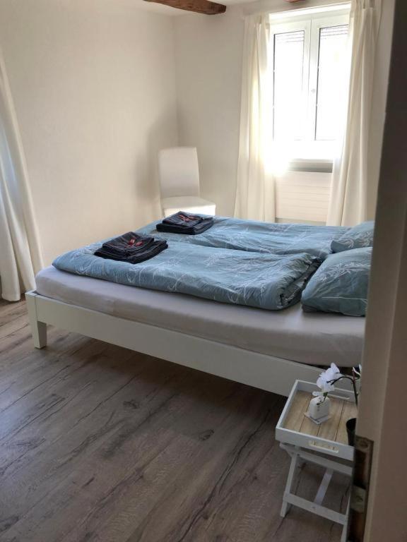 Cozy Apartment Close To Zurich Airport And City Oberglatt Екстер'єр фото