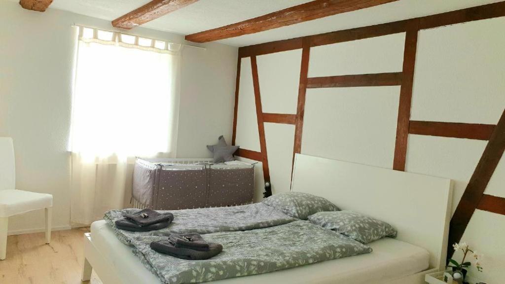 Cozy Apartment Close To Zurich Airport And City Oberglatt Екстер'єр фото