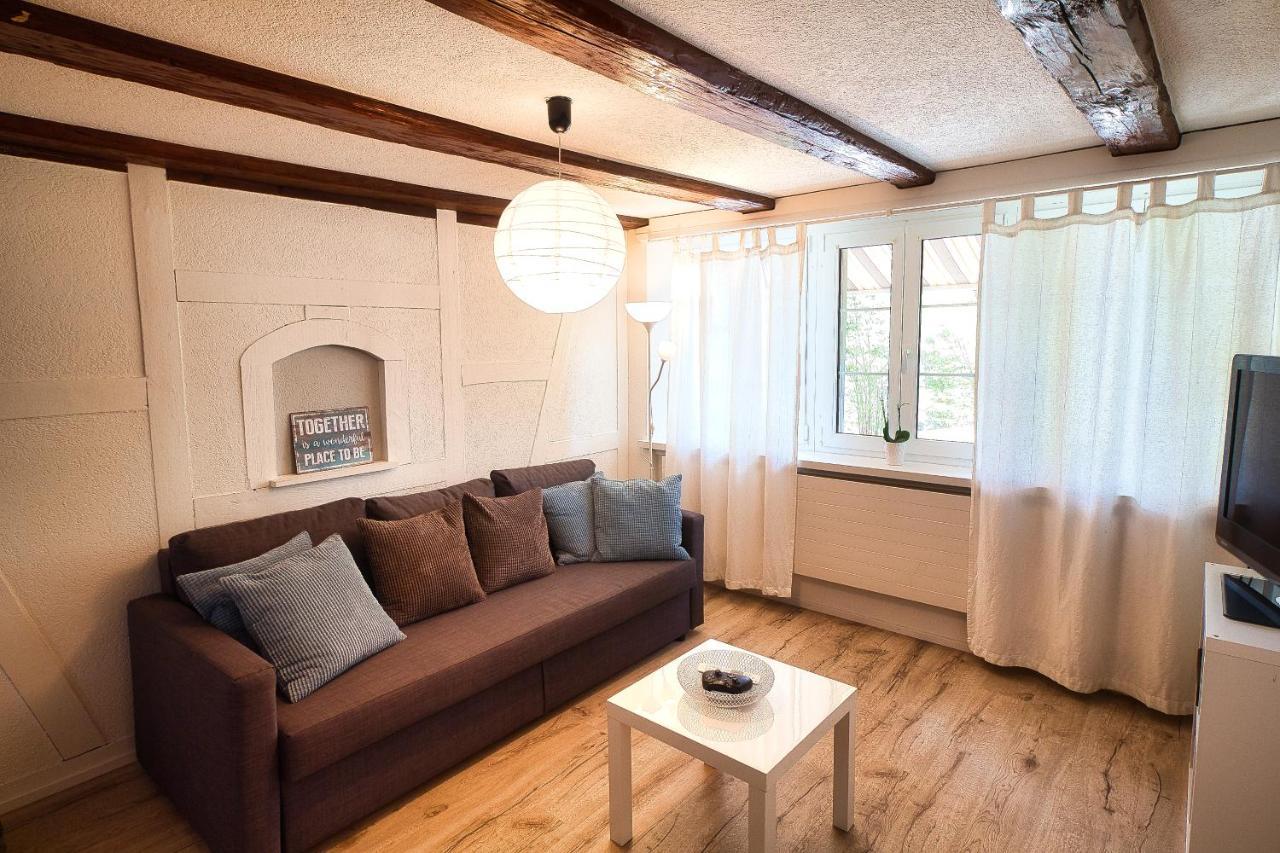 Cozy Apartment Close To Zurich Airport And City Oberglatt Екстер'єр фото