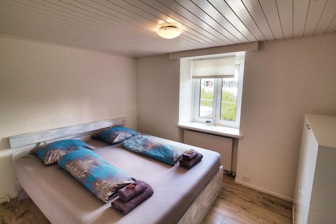 Cozy Apartment Close To Zurich Airport And City Oberglatt Екстер'єр фото