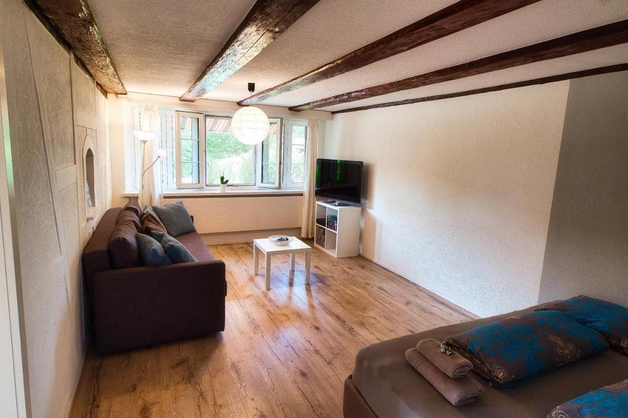 Cozy Apartment Close To Zurich Airport And City Oberglatt Екстер'єр фото