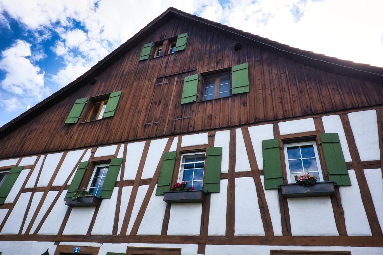 Cozy Apartment Close To Zurich Airport And City Oberglatt Екстер'єр фото