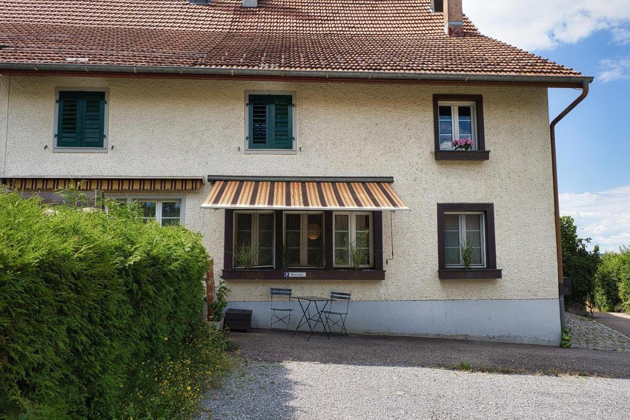 Cozy Apartment Close To Zurich Airport And City Oberglatt Екстер'єр фото