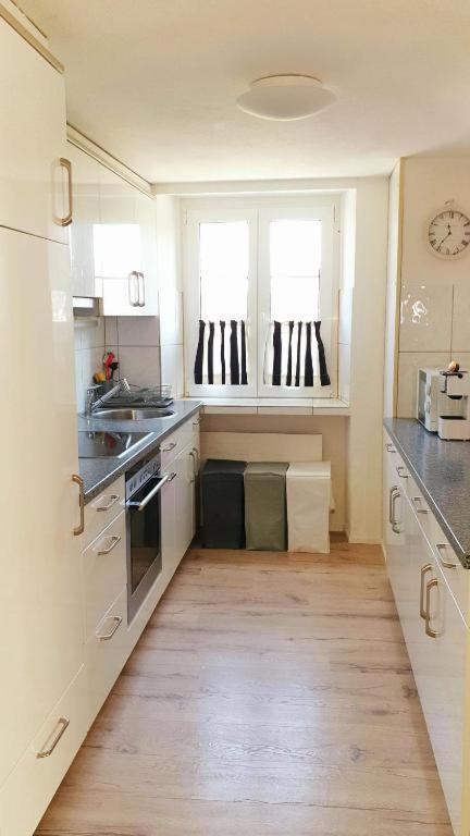 Cozy Apartment Close To Zurich Airport And City Oberglatt Екстер'єр фото