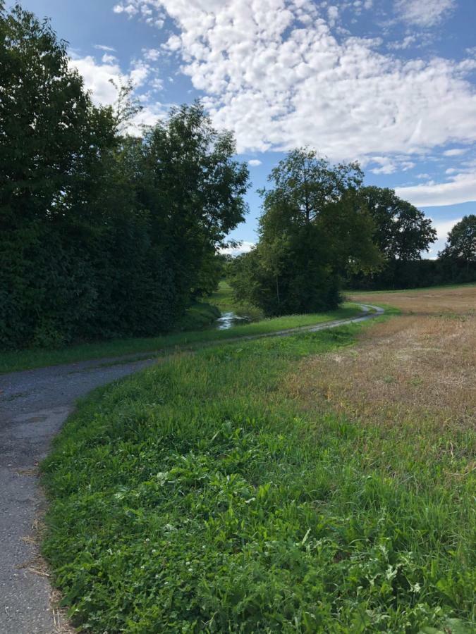 Cozy Apartment Close To Zurich Airport And City Oberglatt Екстер'єр фото